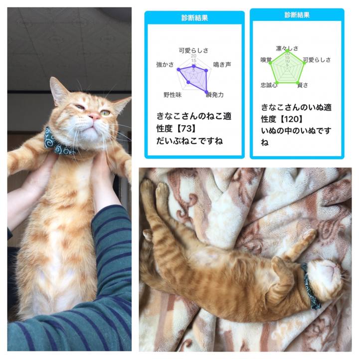 Aa431a22 4502 4406 899f f41994b96f05 1556850979822