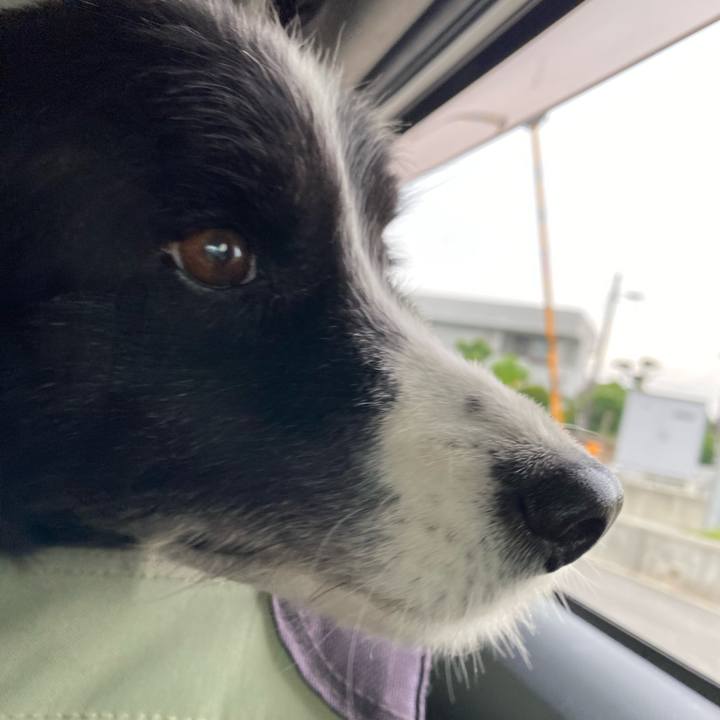 Aa441e3a a314 4afb a2c6 1275956925ae 1684360852751