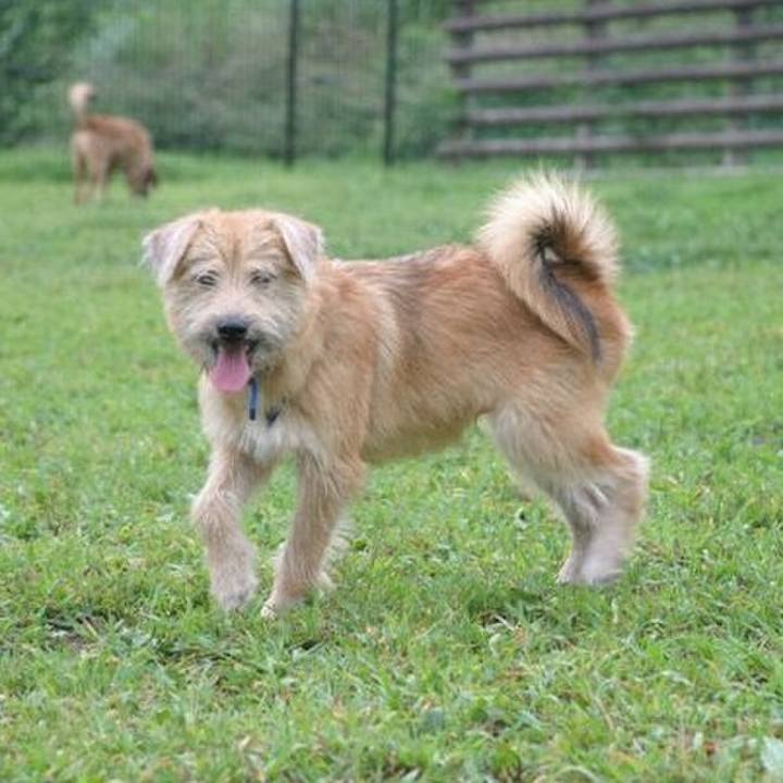 Aa44474c 9e43 4ed1 9a1e 0965b9a4d7fd 1646301904751