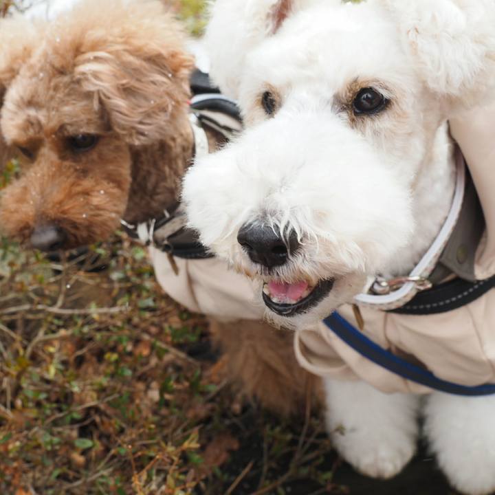 Aa4456ca fa8f 4d53 a849 06d4d48118b4 1518333056008