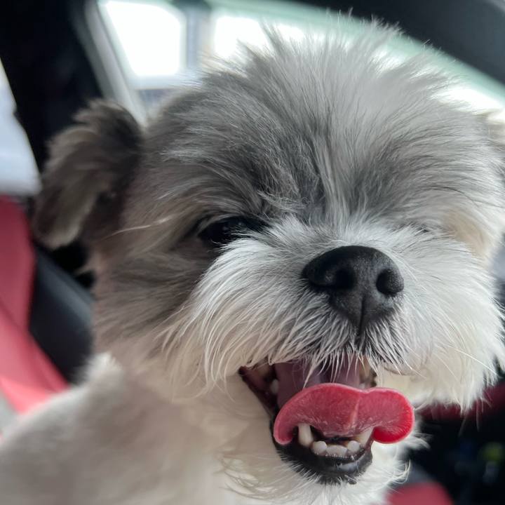 Aa44883b 9bab 49cc 94e4 9fbf606dd7f8 1758186164566