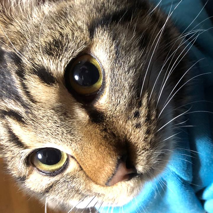 Aa44c723 add3 44b4 bb00 b6fd512fe861 1736846746690