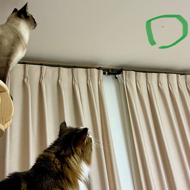 Aa454cde a326 46ef a3bf abdcbba9bab5 1758311423971