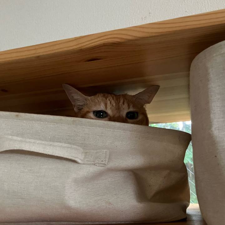 Aa4554f7 214c 4739 a34e 9589732ba962 1761443477419