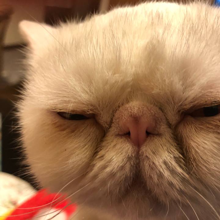 Aa456f1d e99b 4573 9cc2 d6fdfa4d04ad 1621125665629