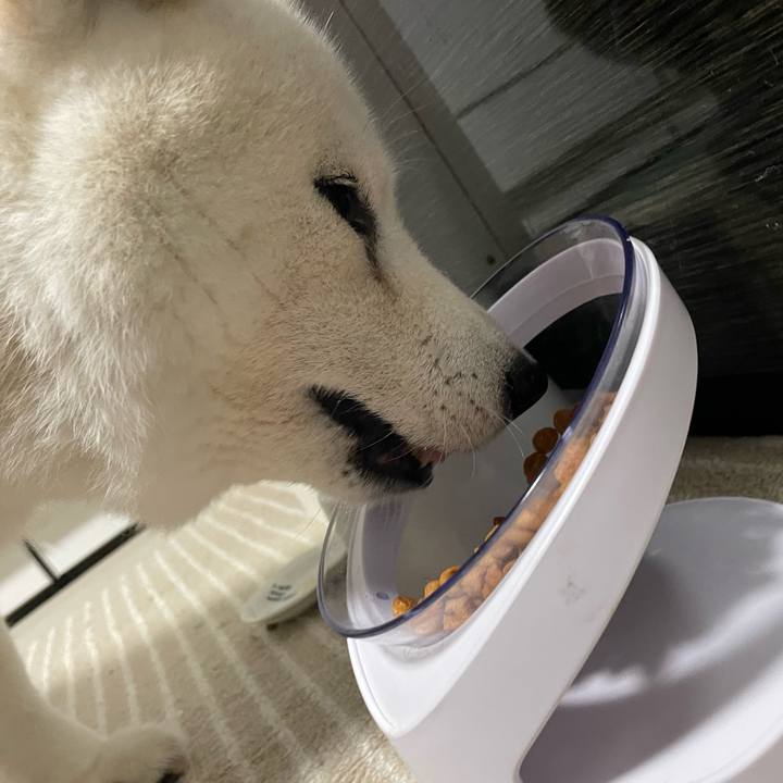 Aa457248 40f9 44e7 84f3 cd0971d1e59d 1720215007599