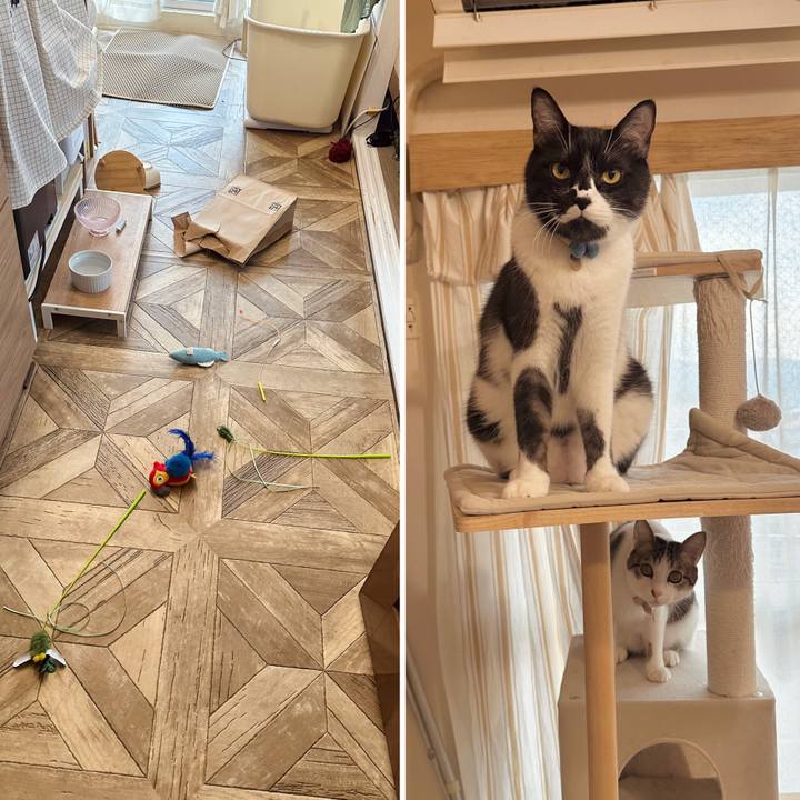 Aa4589dc 4fbb 4701 9b9a 34293a4d267d 1769471168568