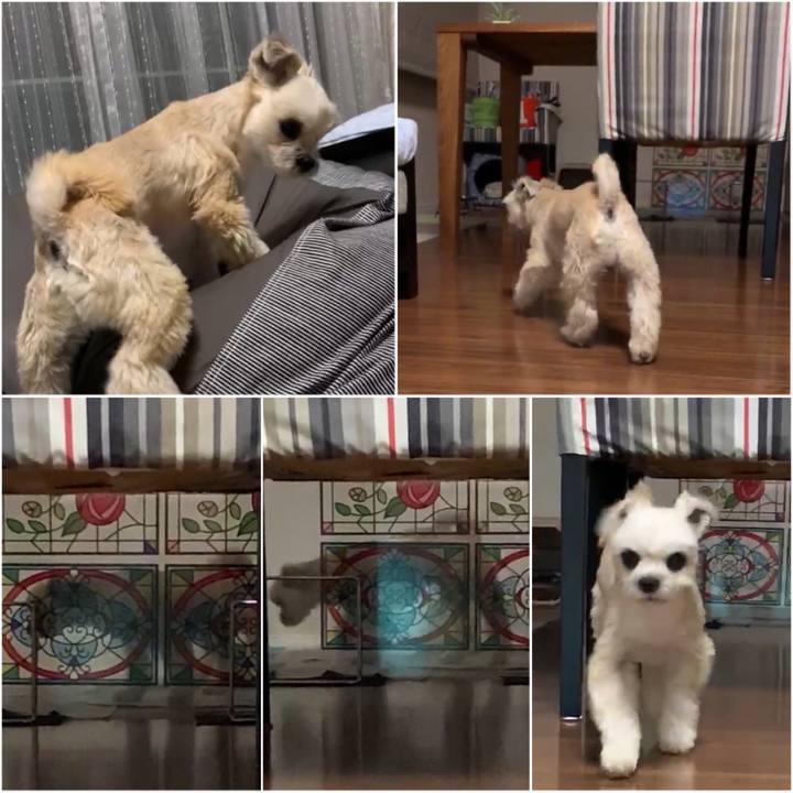 Aa45ae65 352e 49be b041 d312fec75538 1557533731738