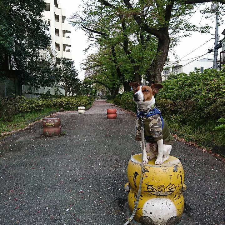 Aa45bc29 a0d8 4f52 b332 f9c8ffed01f7 1586470280166