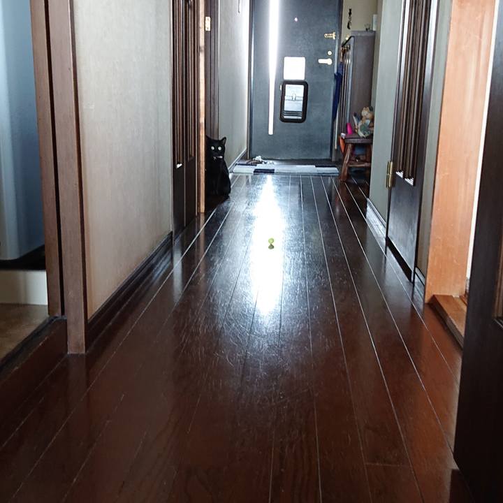 Aa45c5c2 3326 48c8 8273 3a71644afa8b 1561002175792