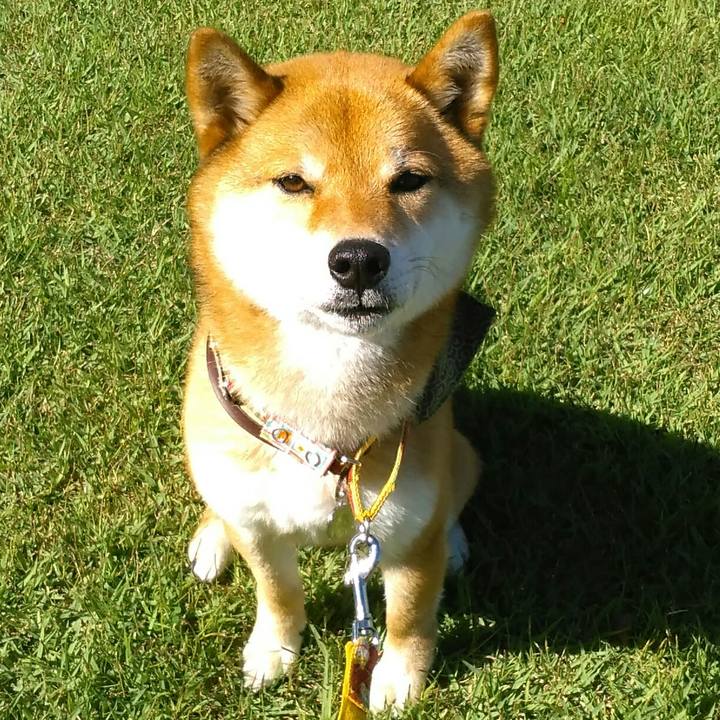 Aa4628aa 648b 4d7c 9e91 3da80f99a40e 1526775234201