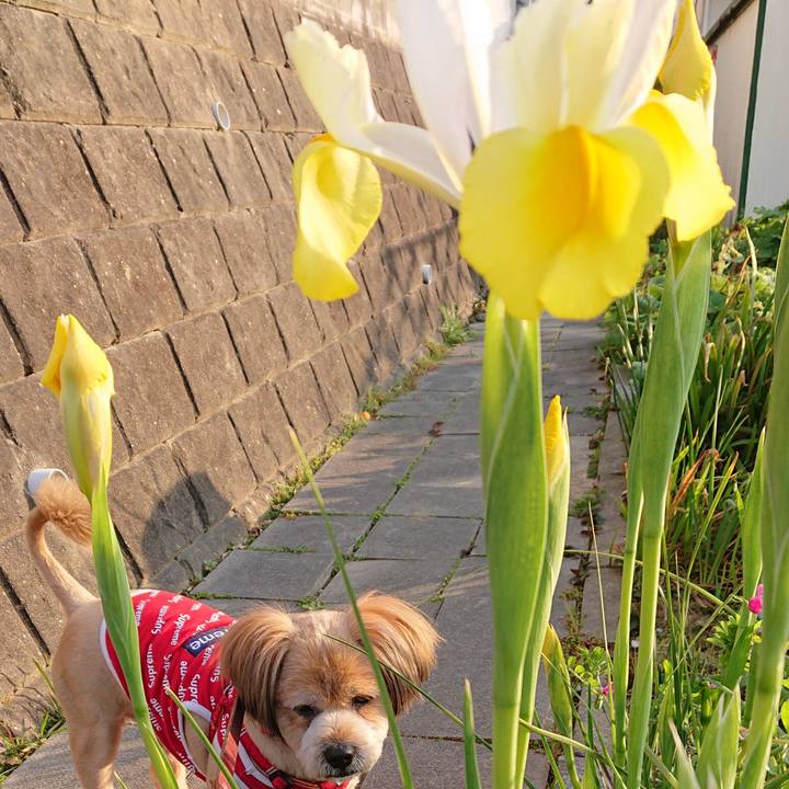 Aa463729 1aac 4a8d 937b fdf8ffe102f3 1586169698768