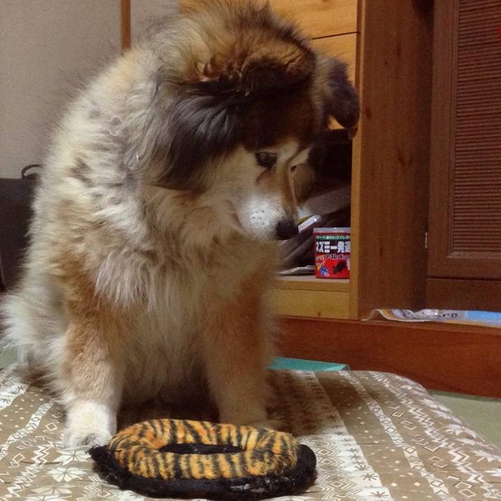 Aa463f69 7e3b 4029 b09d f9c6d36585dc 1588251595382