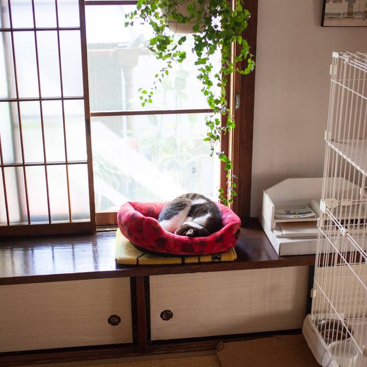 Aa464ef1 8c82 4aa1 aef4 a2e0eebe2668 1573094024447