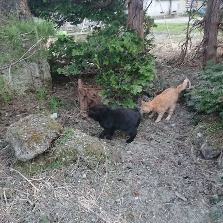 Aa46850d 396e 4e91 805a 593765be339f 1649843400446