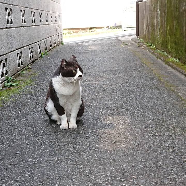 Aa46a089 f95a 475f 80b3 397f271dd9ee 1650688705738