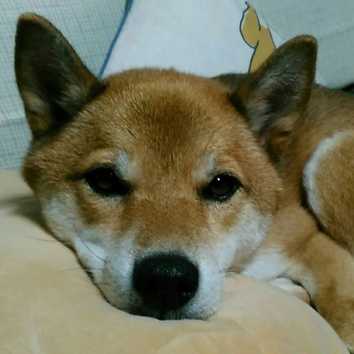 Aa46a6e7 80f2 430d 8626 9c1f361070c8 1536068644962