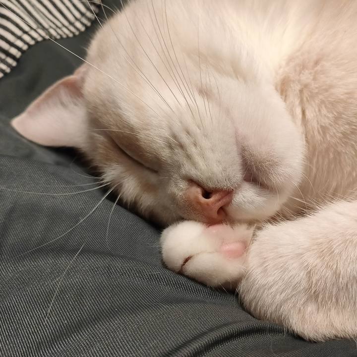 Aa46ae2e 160b 4f7e a6c9 644b7ec60af5 1680684762117