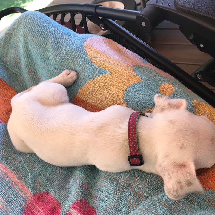 Aa46b57c 8111 42d3 b464 26613fb1a5da 1530388846297