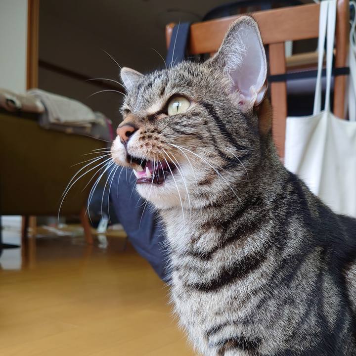 Aa46c9cc aa06 4724 8653 e98c8d736a5e 1618374406677