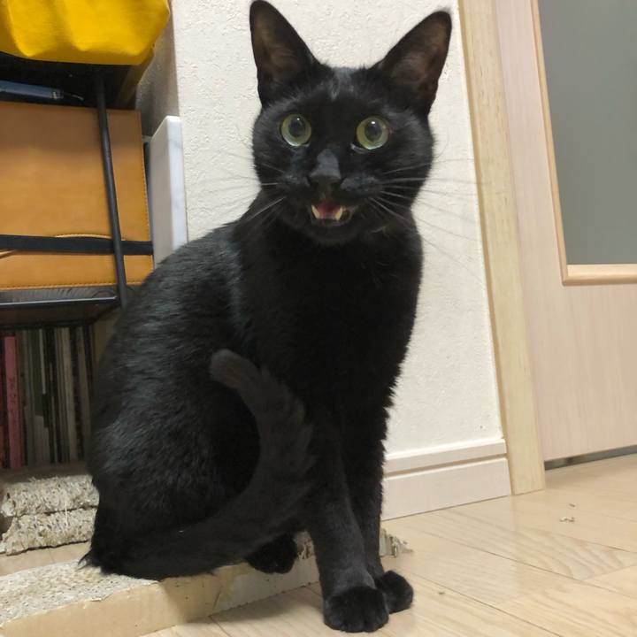 Aa46e71a 1bb6 4e8c bb74 635677dd097c 1618582834132