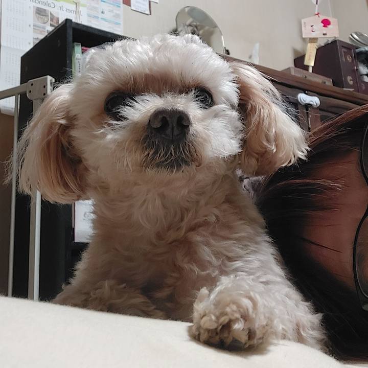 Aa46f381 34f6 4dab 8206 317d6a7a3585 1676188412328