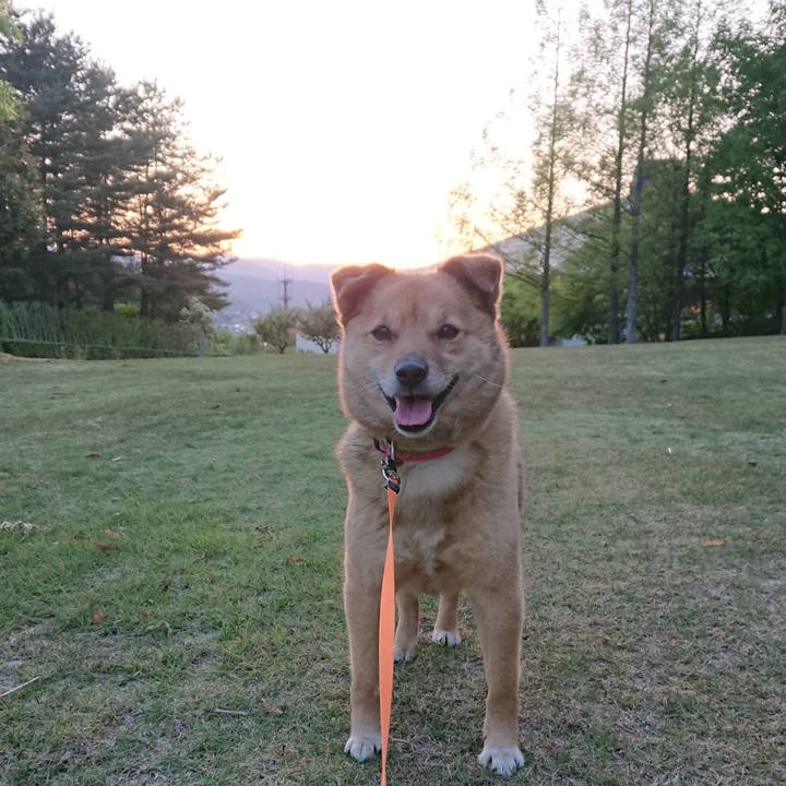 Aa470253 7461 412a bbfc d8cb8298f508 1621773847977