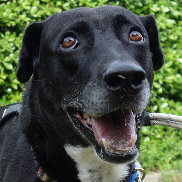 Aa474343 b566 4051 bf9a 459fc69899a7 1652147732180