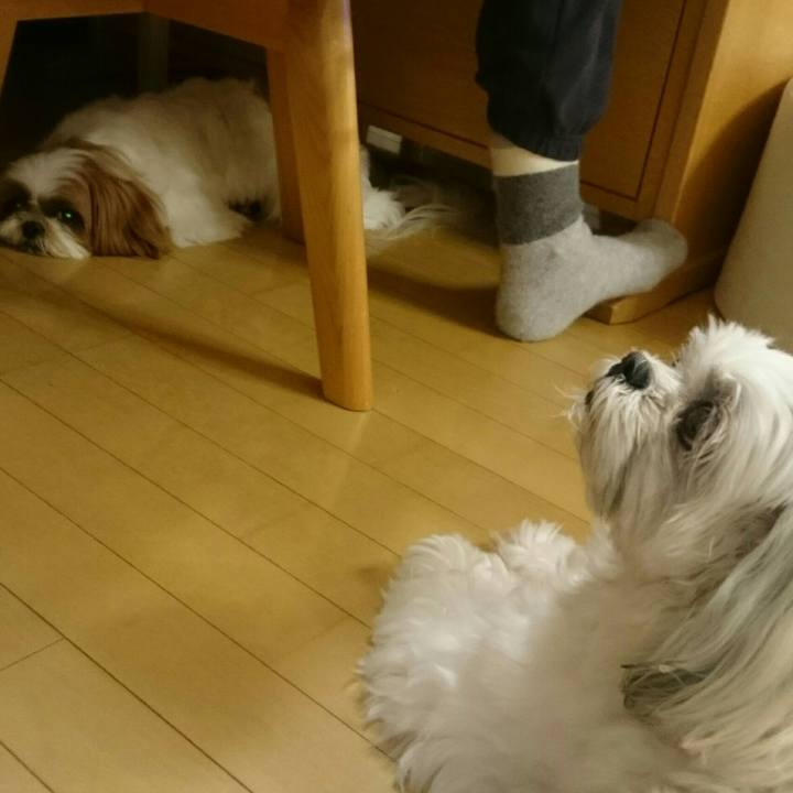 Aa475aa5 2e1b 4be6 9da6 e1d4945bdab7 1517742181854