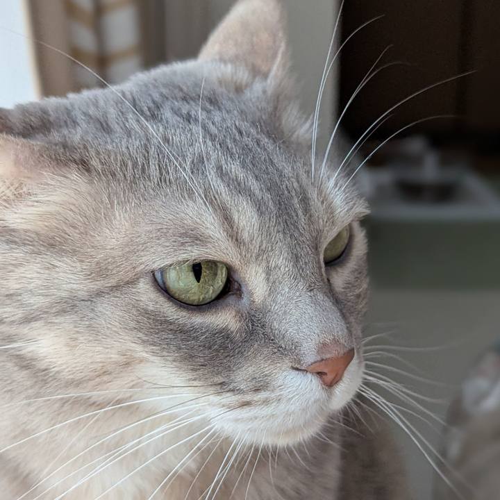 Aa4763f4 12f0 49c1 a404 edacc4b93f07 1740715692511