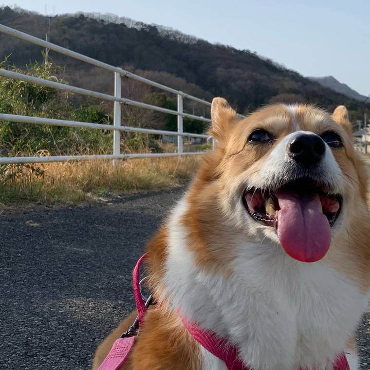 Aa476da3 fd56 4abe 8f92 cc452f4e8153 1678519185284