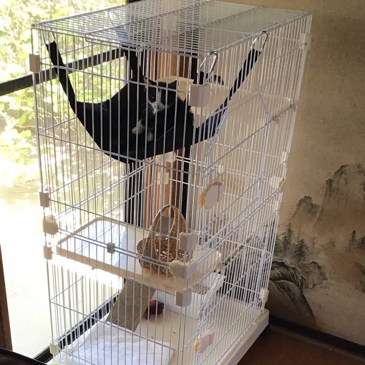 Aa47a990 b2bc 4d7a a1e9 215c3c688344 1622523053408