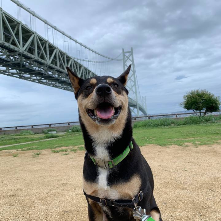 Aa47d8ec 5fcb 44a7 b804 92e081f76018 1563706684496