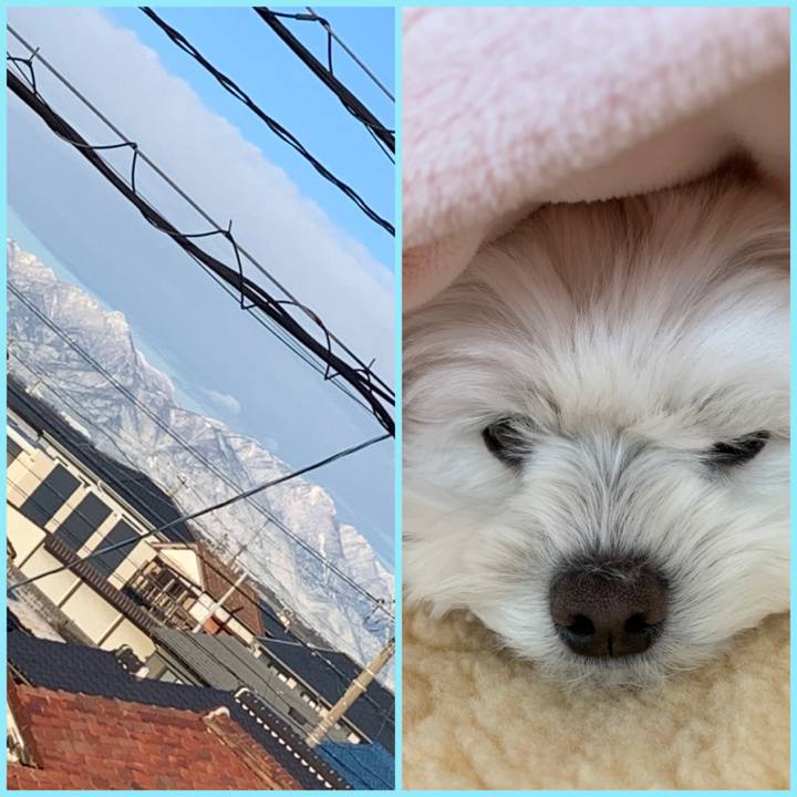 Aa482aa2 c6dc 4fc4 9c00 48a0feea22de 1639870498476