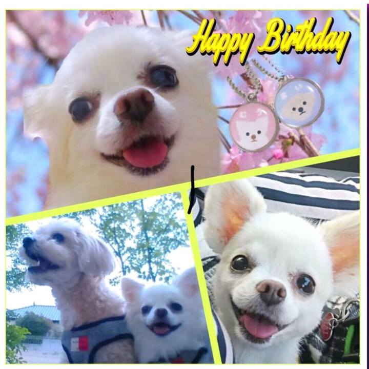 Aa483b01 829d 432d a789 0556e2129a73 1554244052713