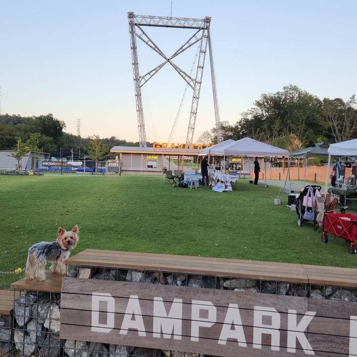 Aa484930 93a3 4c29 974e 4f0cb635a916 1760012324891