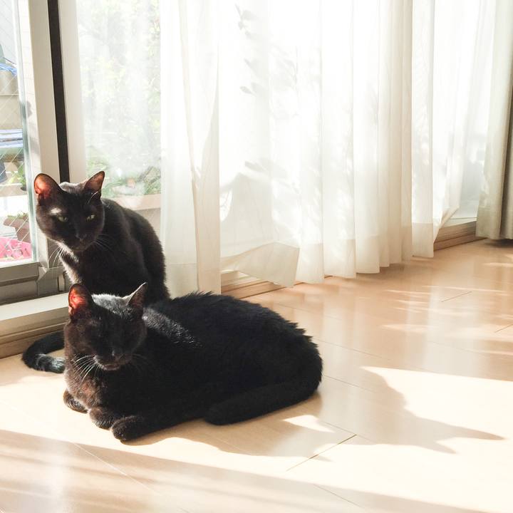 Aa484b4e dd13 411e 993e b7b9af192327 1521895626367