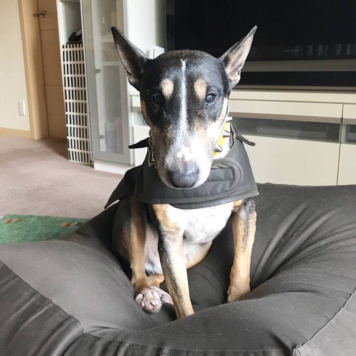 Aa484fb8 d2e9 4789 8ef1 28afd6b3b212 1517990560330