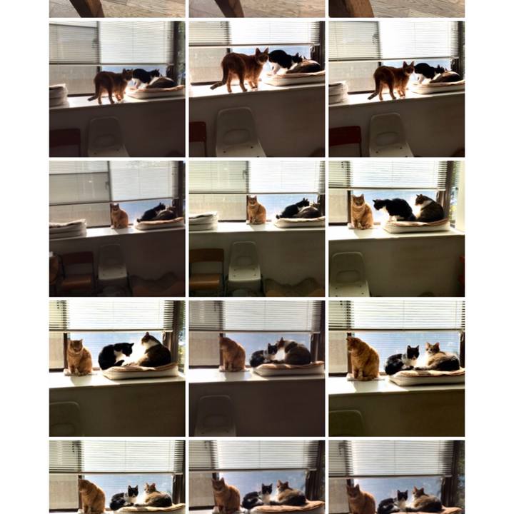 Aa485a62 dd54 4a6c b08f ce5cf140387b 1578649707718