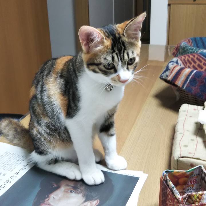 Aa4868ab a722 4957 a47c ea6e30718cf9 1630707399960