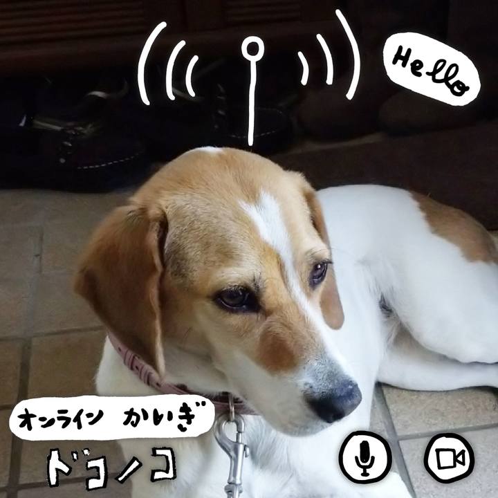 Aa48809f e888 4550 848e 2a0cb598df07 1593346857129