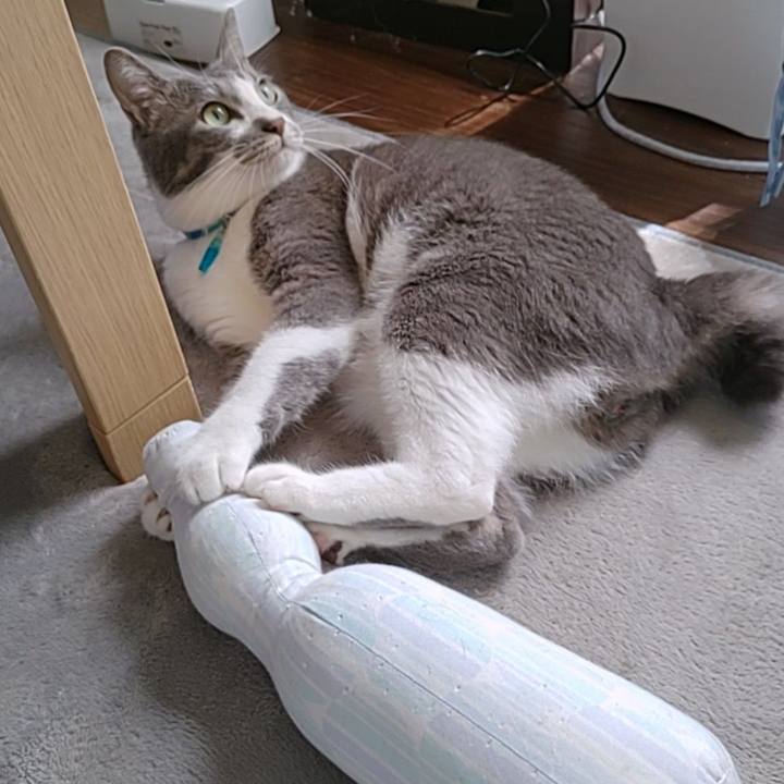 Aa48920d 75ad 4397 9cde ca95b0ac6c5f 1662384154013