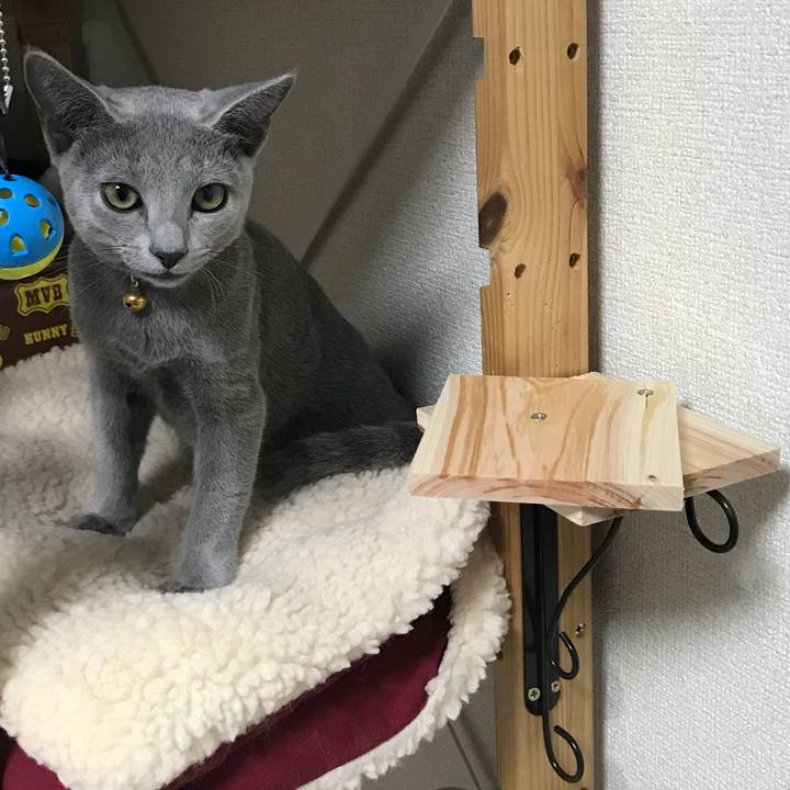 Aa489be4 0ecb 4a4e 8e6e 791d3648f081 1508079582090