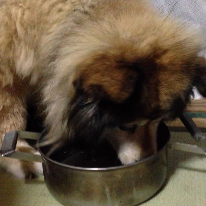 Aa48a527 4253 4a99 8611 d39c9e538de8 1567947290378