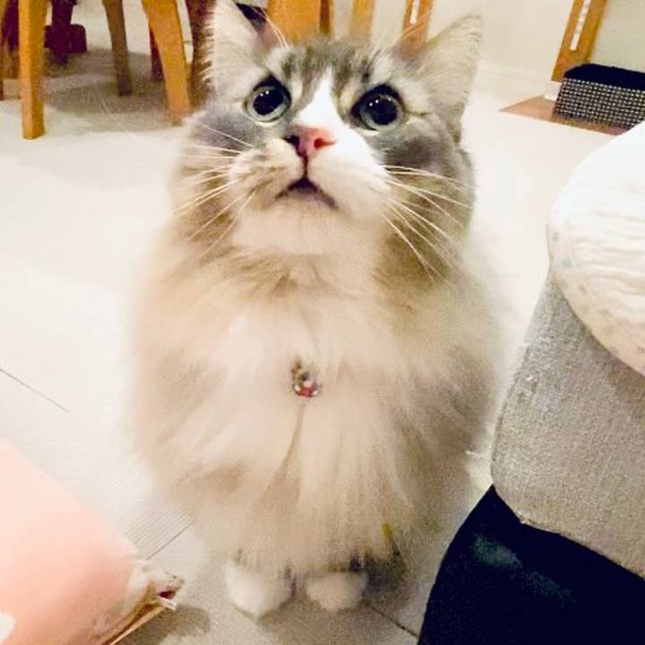 Aa48a7eb b98a 49c9 b391 3b750ca2e16b 1675789258049