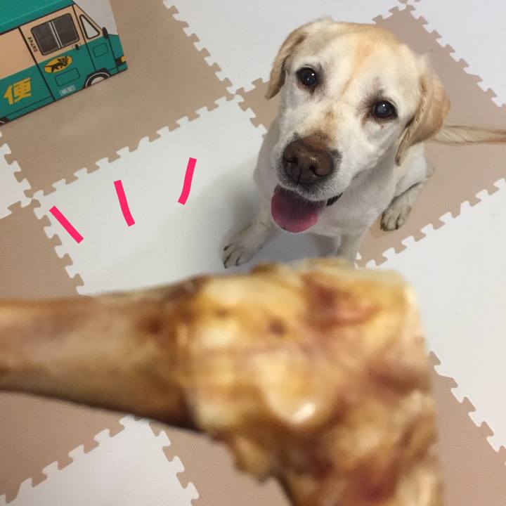 Aa48aba8 af23 4768 a117 0405c473efdc 1547812950743