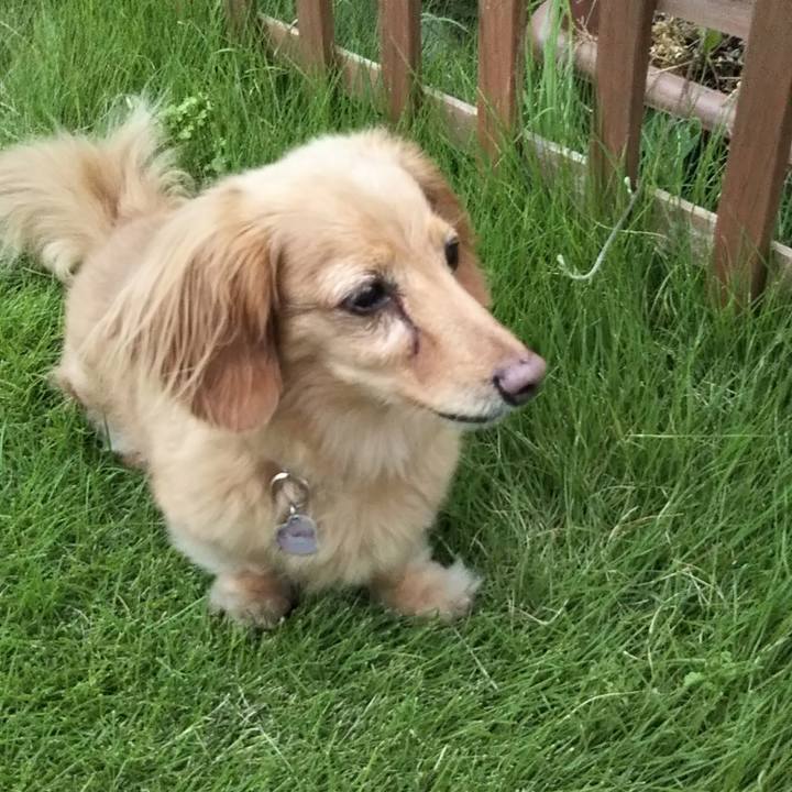 Aa48b1b2 c180 44ad b9ad e9bbdcfe2d78 1568715165854