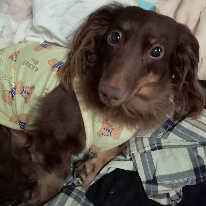 Aa48c73d cb33 4b6d 82b5 fe58c2467f87 1759441715221