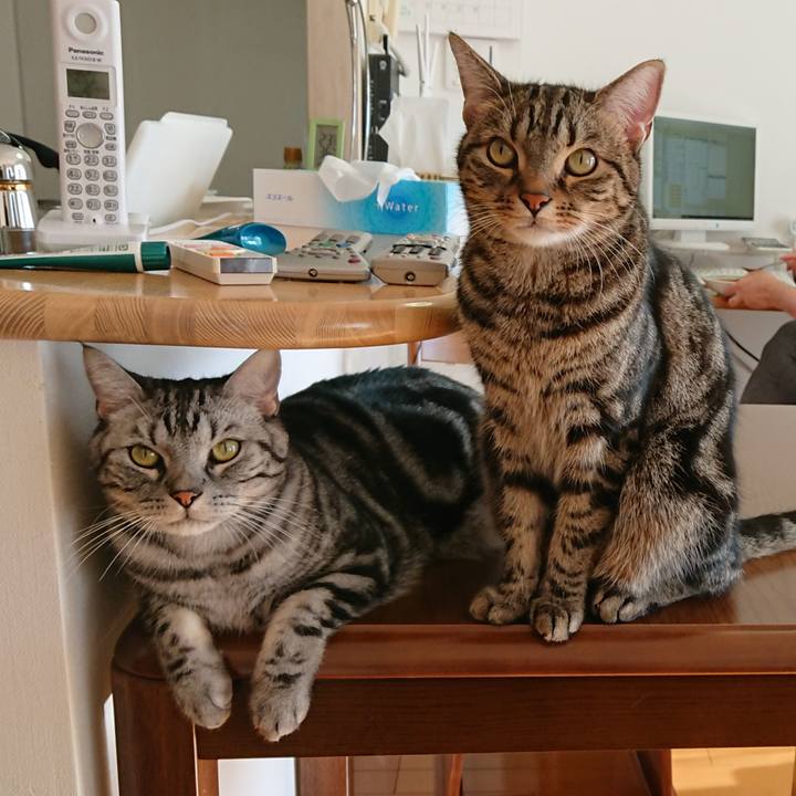 Aa48ccca 3dcd 4ea8 b55e 1436450c10b5 1550749171785