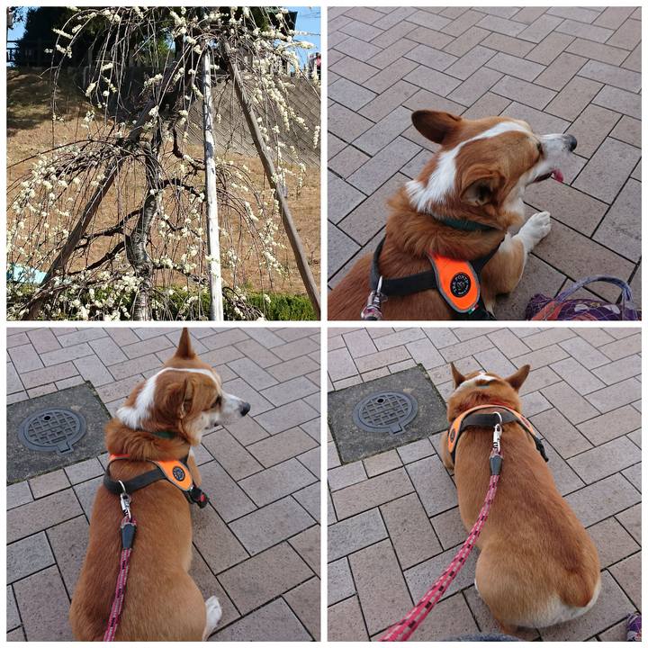 Aa48dab7 cf77 4bb2 a949 60f6f53b9428 1678191321726